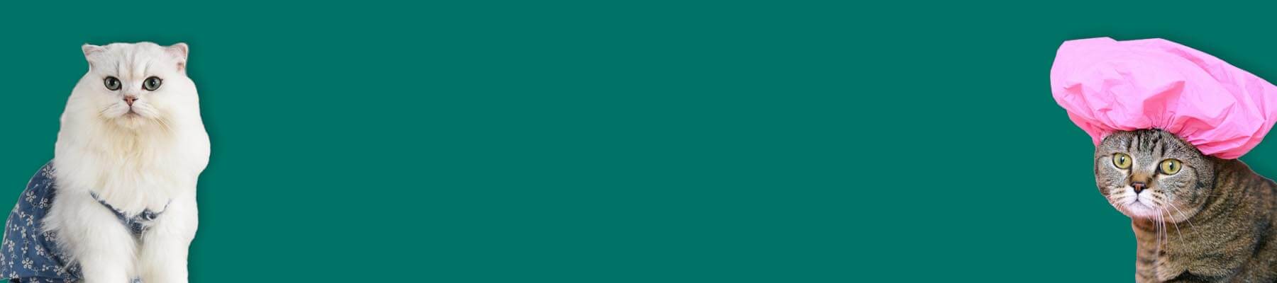 Onesies & Recovery Suits for Cats