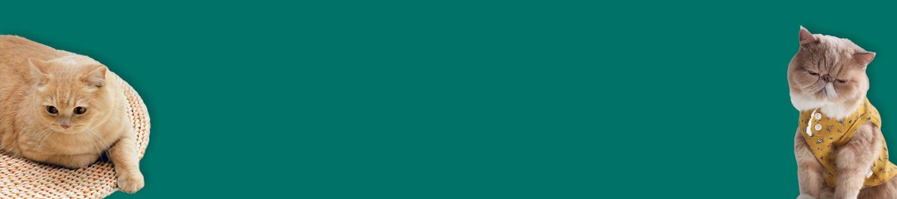 MissyMoMo Cat Vest Collection