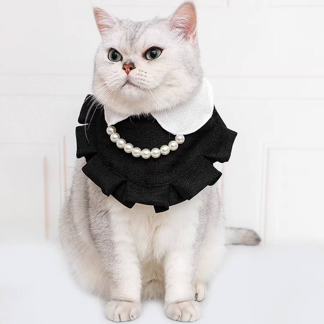Cat in Black Cat Bib | MissyMoMo