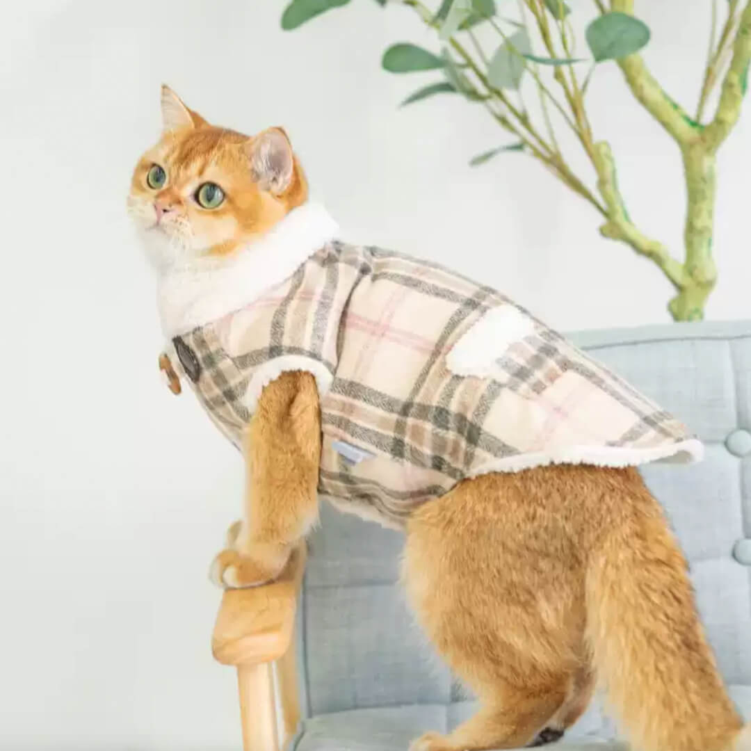 Cat in Fleece Check Jacket | MissyMoMo