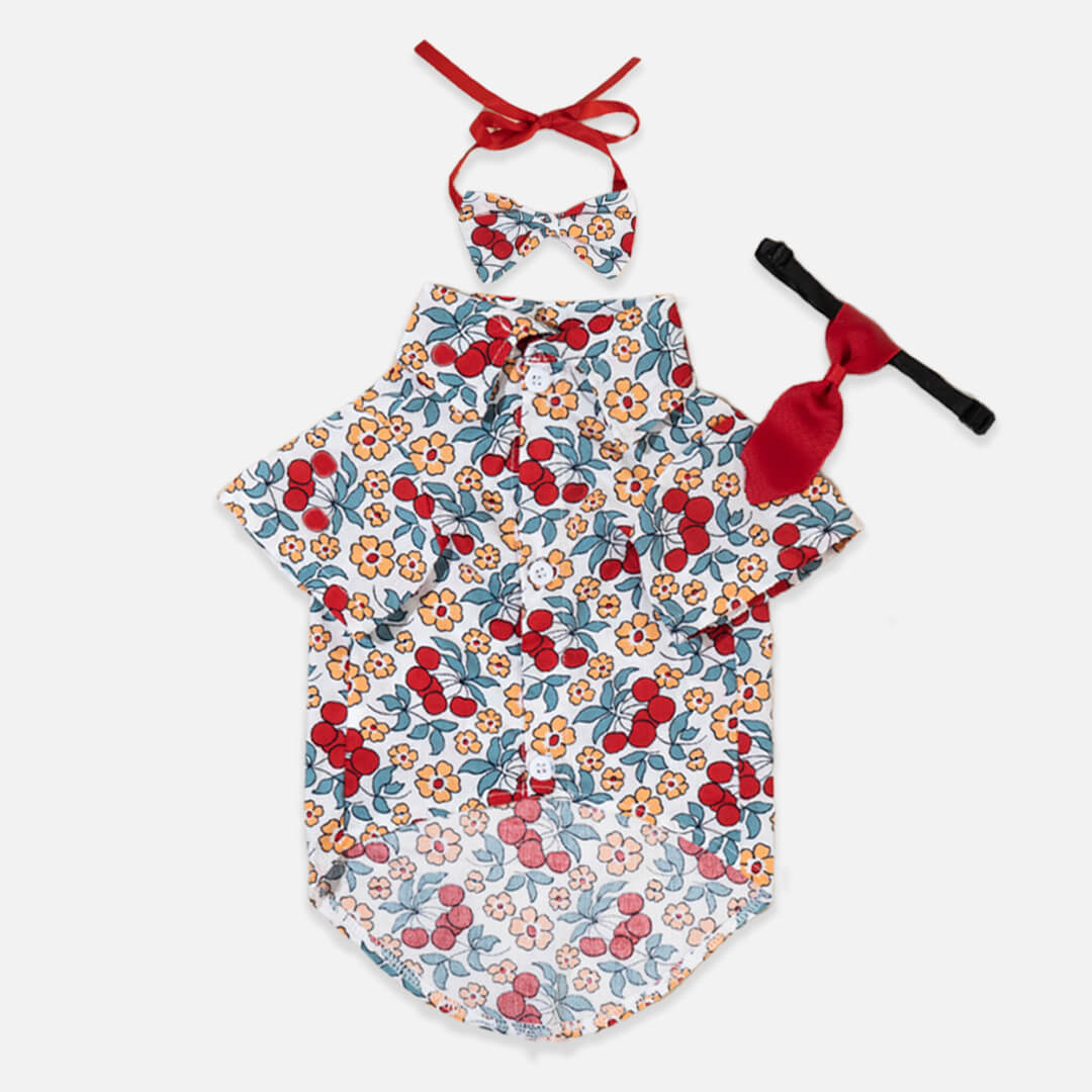 Catsby Cat Shirt & Tie Set | Floral Shirt for Cats & Kittens | MissyMoMo