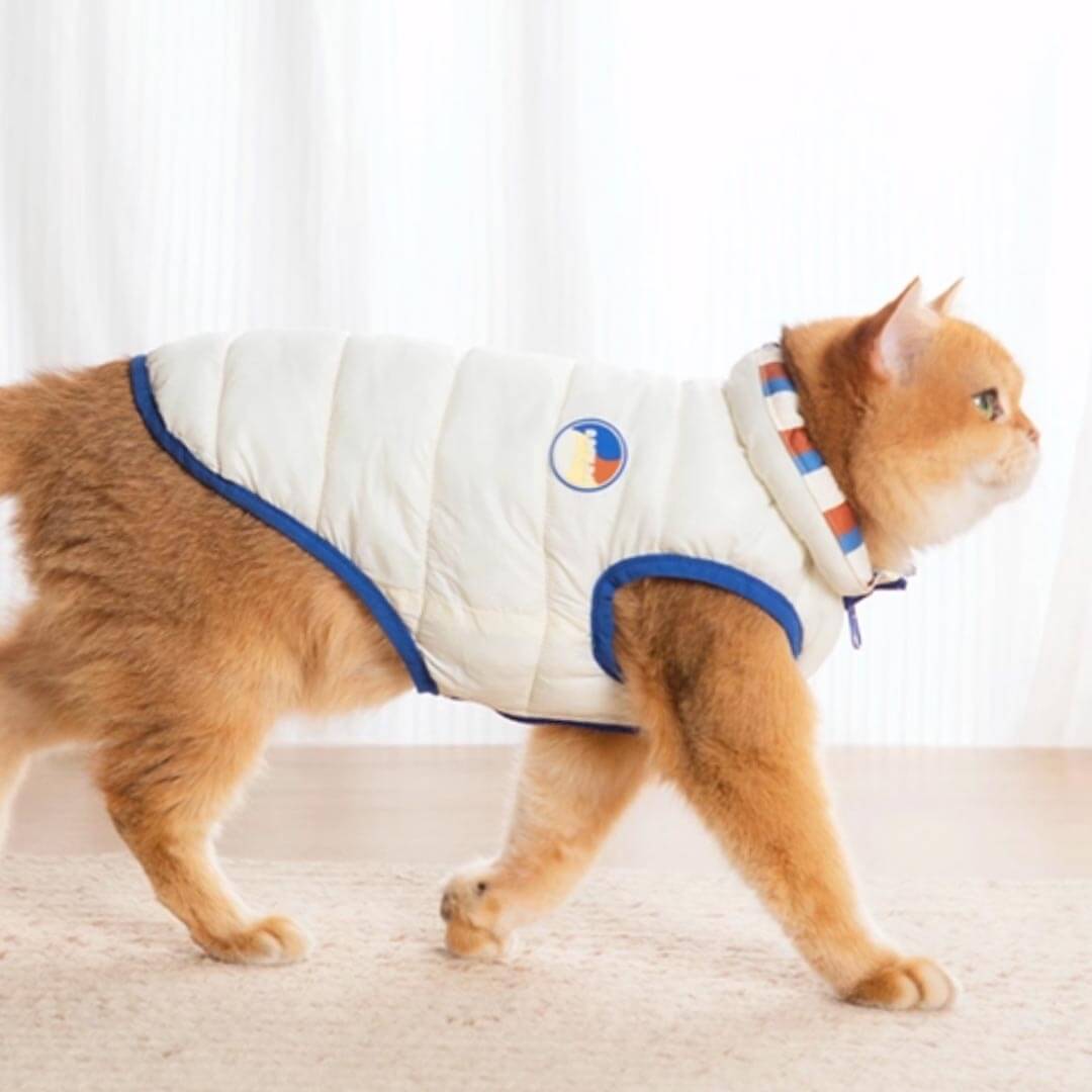 Cat in Cream Reversible Jacket | MissyMoMo