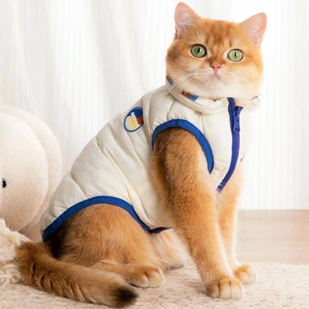 Cat in Cream Reversible Jacket | MissyMoMo