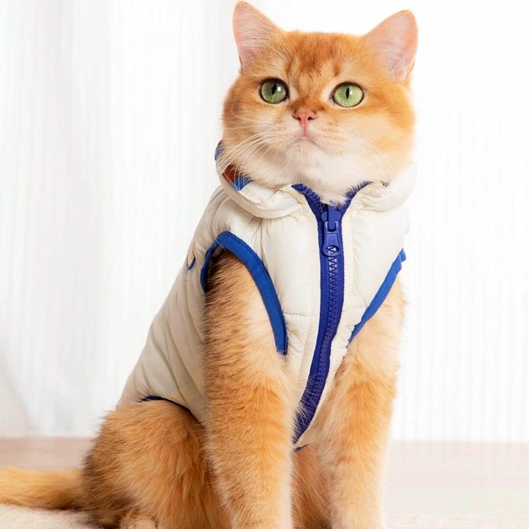 Cat in Cream Reversible Jacket | MissyMoMo