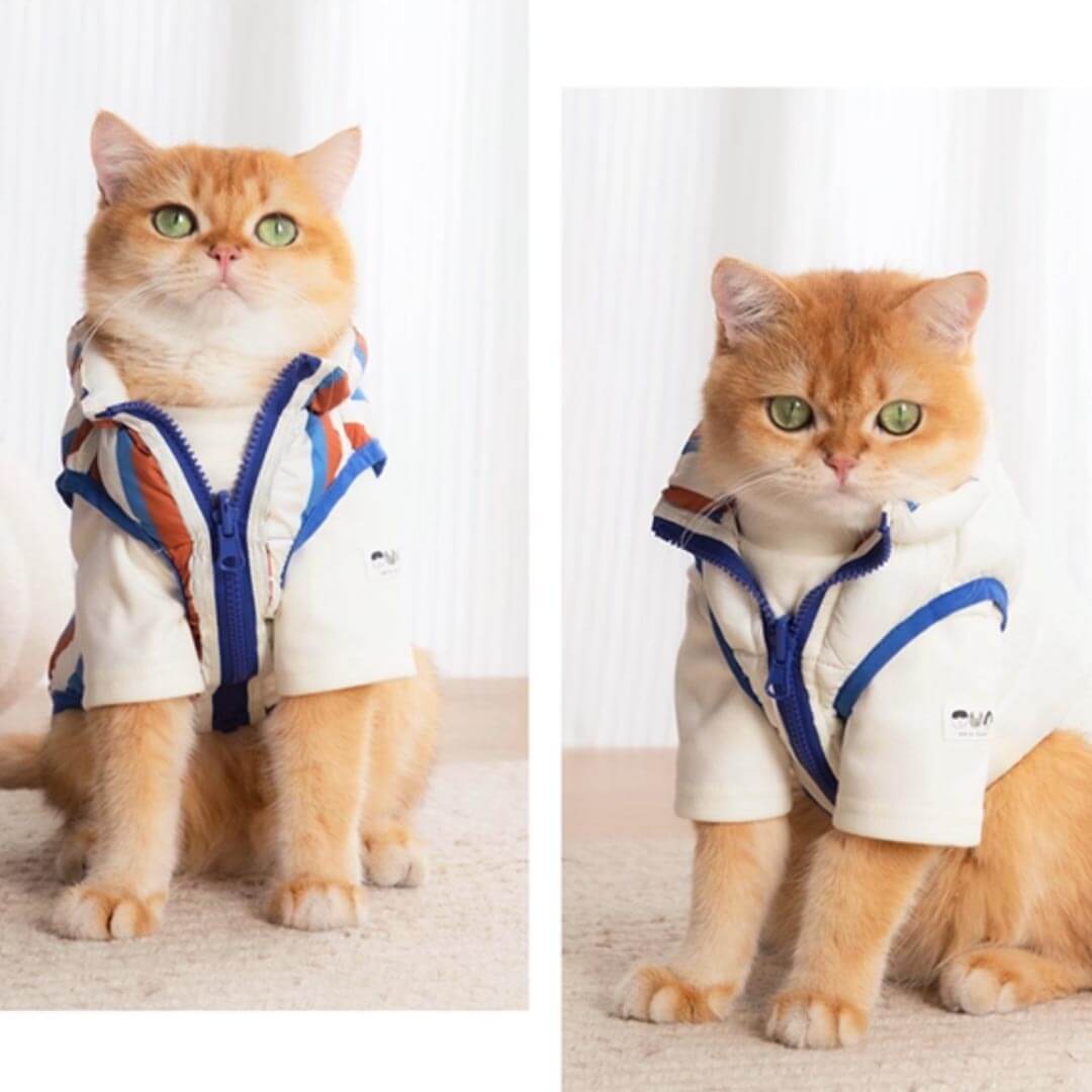 Cat in Cream Reversible Jacket | MissyMoMo