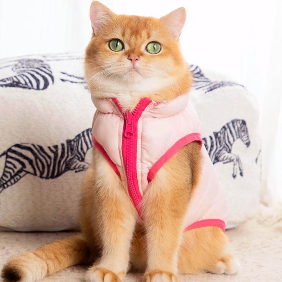 Cat in Pink Reversible Jacket | MissyMoMo