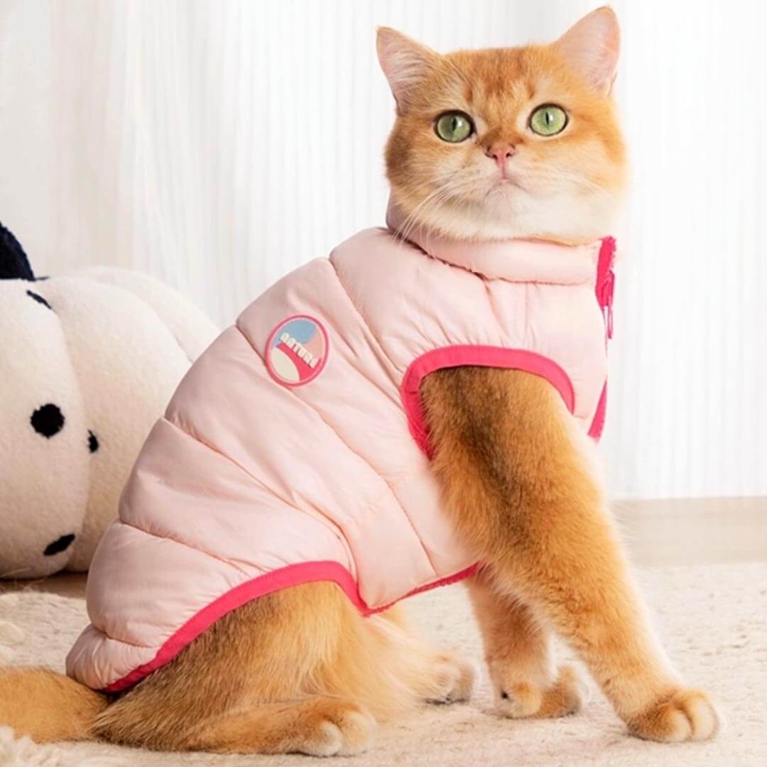 Cat in Pink Reversible Jacket | MissyMoMo