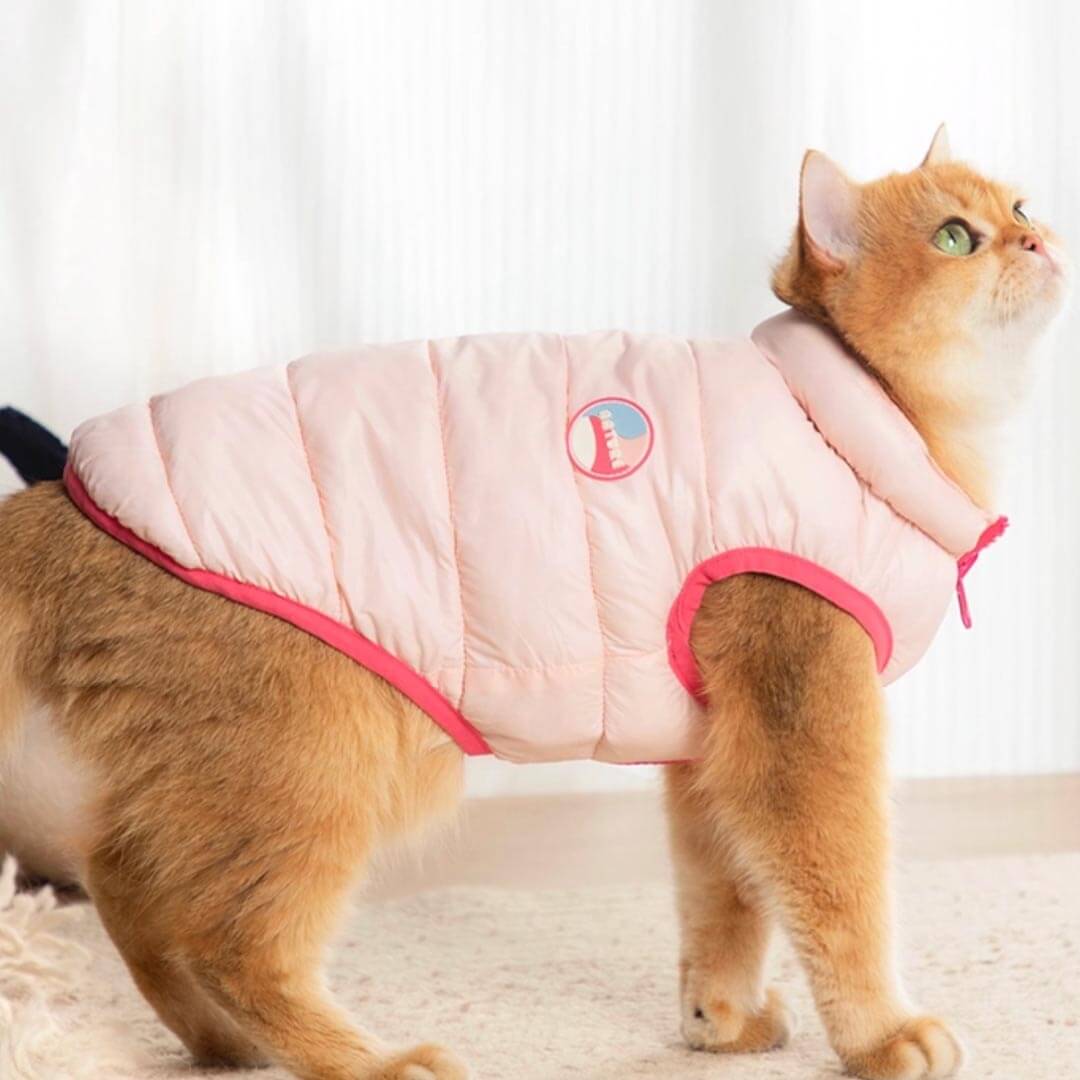 Cat in Pink Reversible Jacket | MissyMoMo