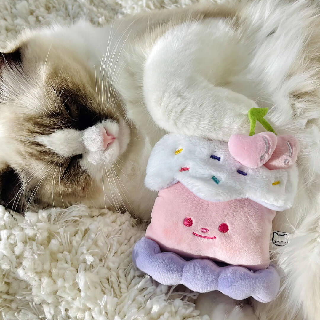Cat with Cherry Cake Catnip Toy | Cute Toy for Cats & Kittens | MissyMoMo