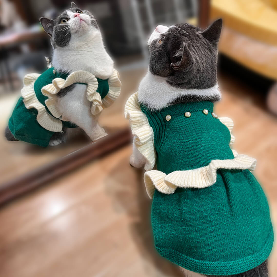 Cat in Green Knit Dress | MissyMoMo