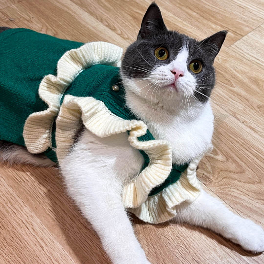 Cat in Green Knit Dress | MissyMoMo