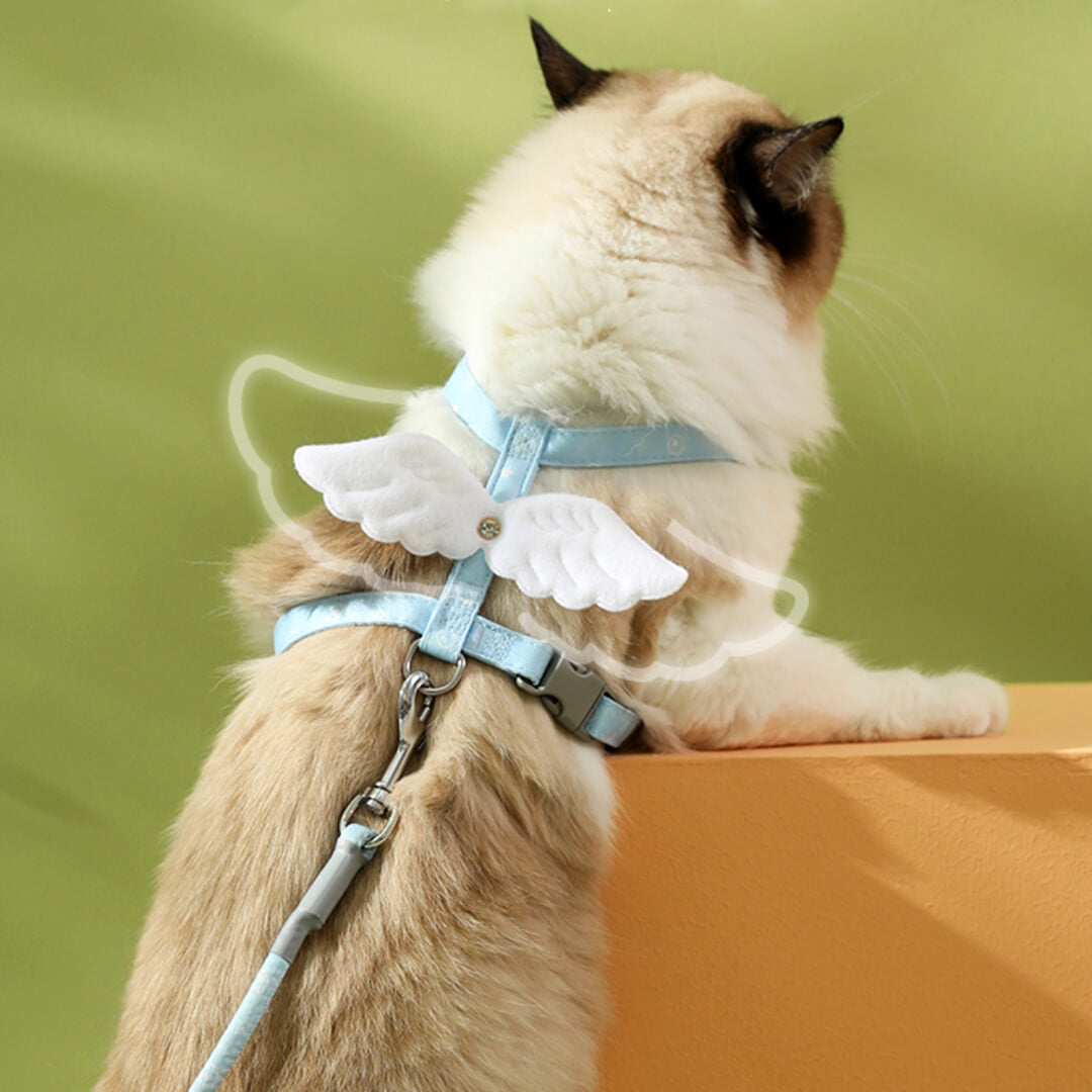 Cat on Blue H-Style Cat Walking Harness | MissyMoMo