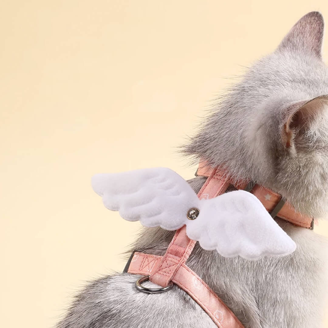 Cat on Red H-Style Cat Walking Harness | MissyMoMo