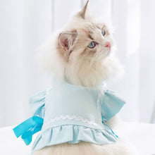 Load image into Gallery viewer, Cat in Blue Cat Vest | MissyMoMo