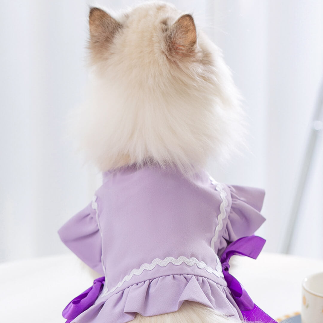 Cat in Purple Cat Vest | MissyMoMo