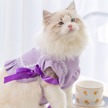 Load image into Gallery viewer, Cat in Purple Cat Vest | MissyMoMo