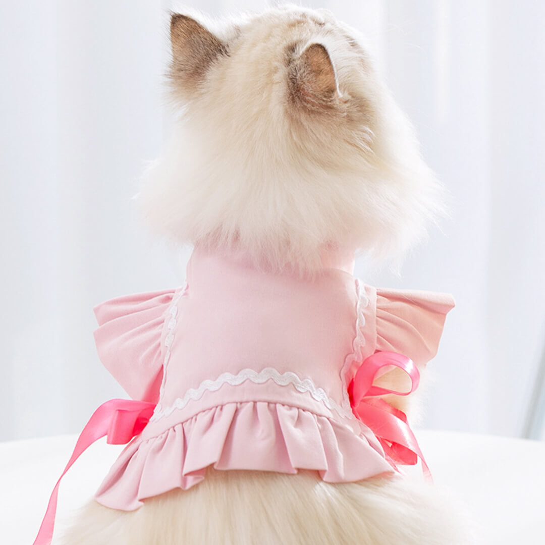 Cat in Pink Cat Vest | MissyMoMo