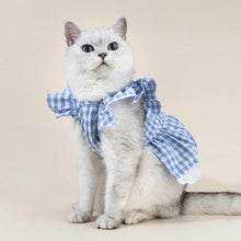 Load image into Gallery viewer, Checkers Cat Dress & Bow Set | Dress for Cats | Cat with Dress | MissyMoMo