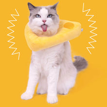 Load image into Gallery viewer, Cheese Elizabethan Collar for Cats | Cat with E Collar | MissyMoMo