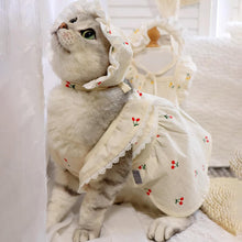Load image into Gallery viewer, Cat in Red Cherry Print Hat & Dress | MissyMoMo