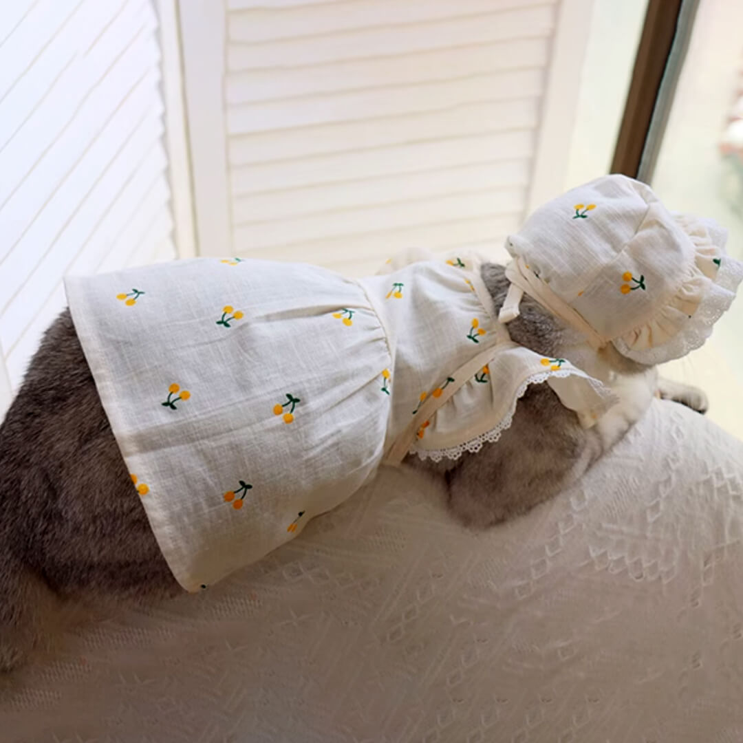 Cat in Yellow Cherry Print Hat & Dress | MissyMoMo