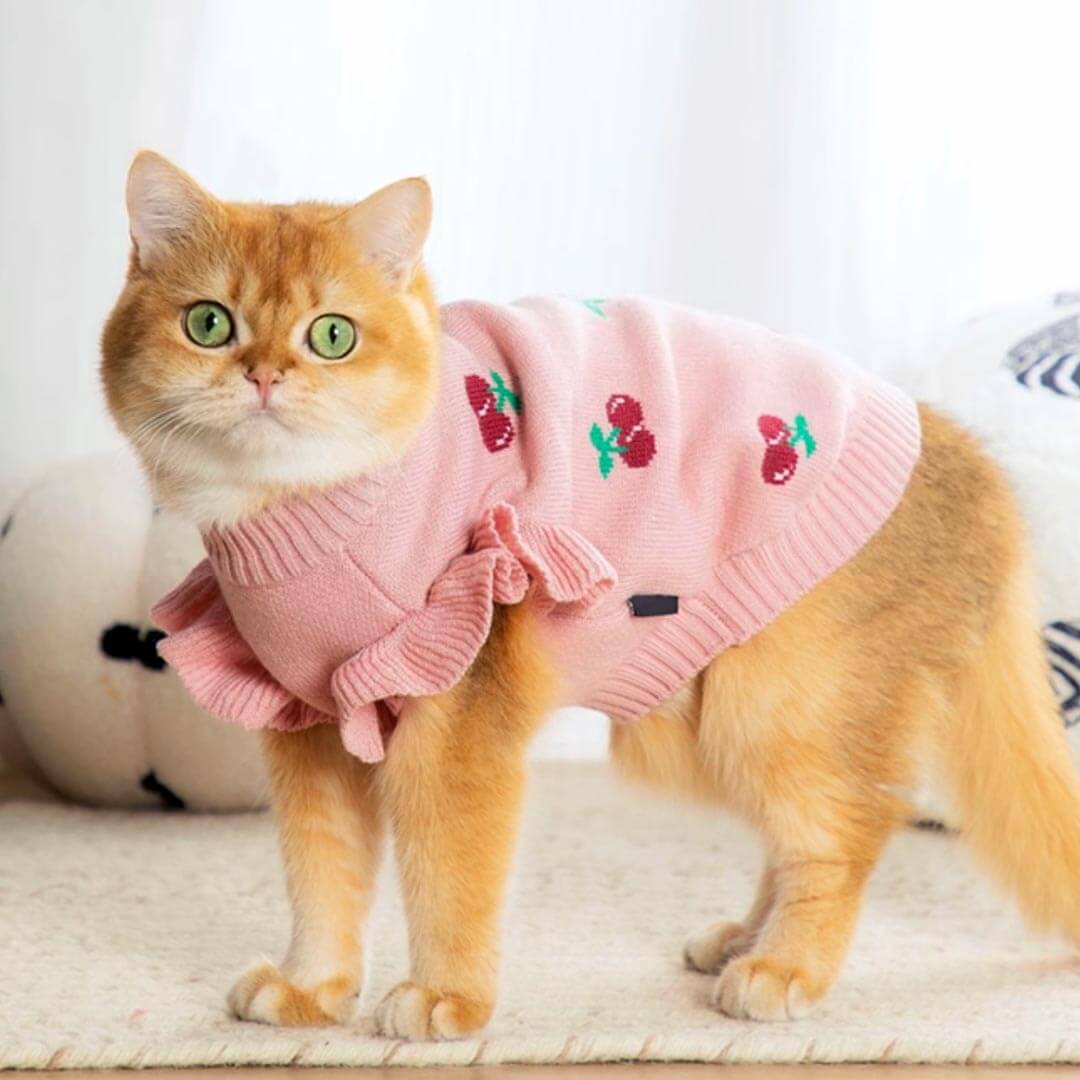 Cat in Pink Cherry Print Sweater | MissyMoMo