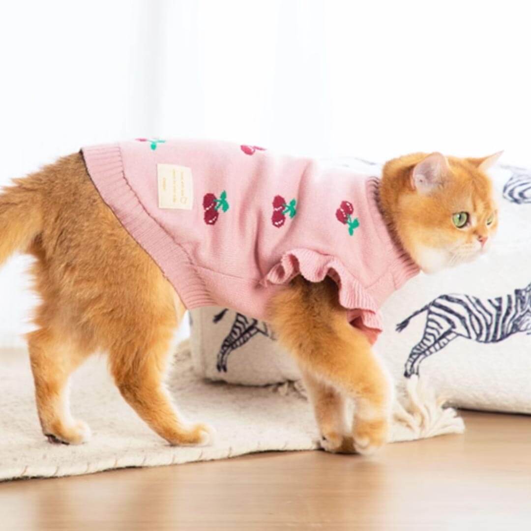 Cat in Pink Cherry Print Sweater | MissyMoMo