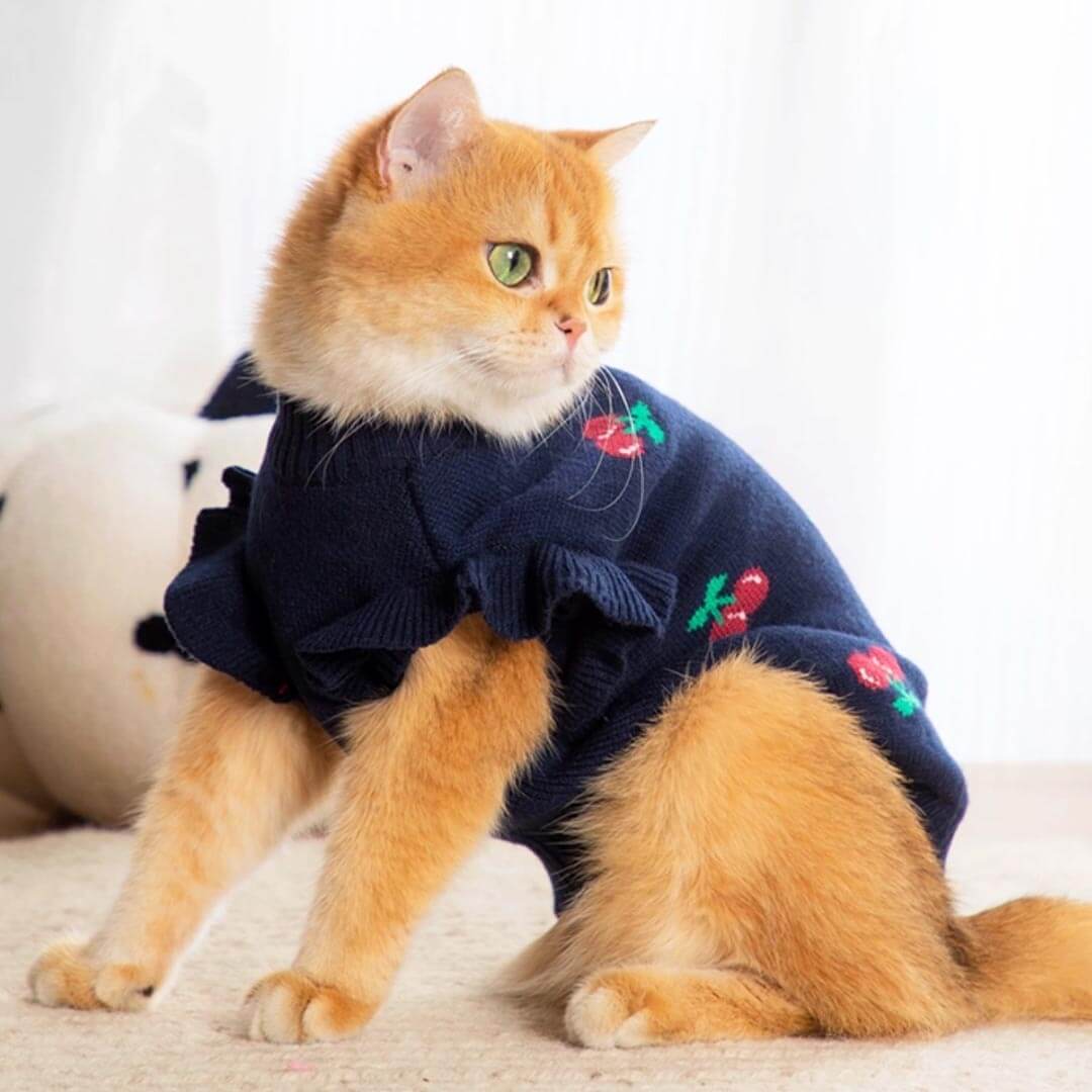 Cat in Navy Cherry Print Sweater | MissyMoMo