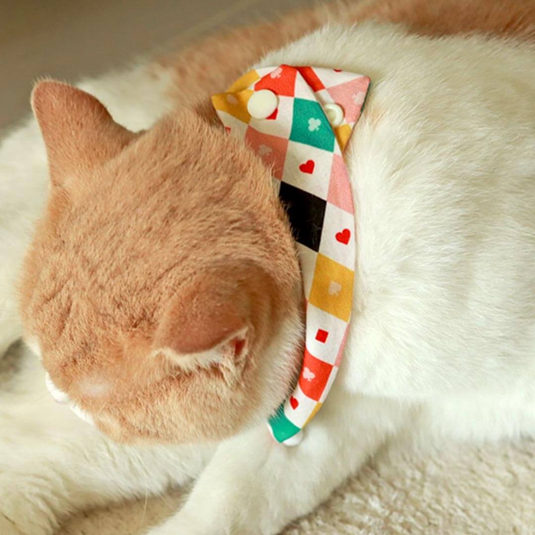 Circus Cat Bib | Cute Accessories for Cats | MissyMoMo