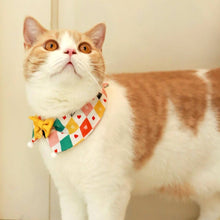 Load image into Gallery viewer, Circus Cat Bib | Cute Accessories for Cats | MissyMoMo