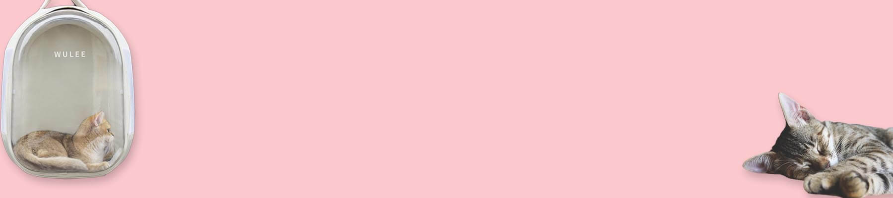 MissyMoMo Clear Cat Backpack Collection