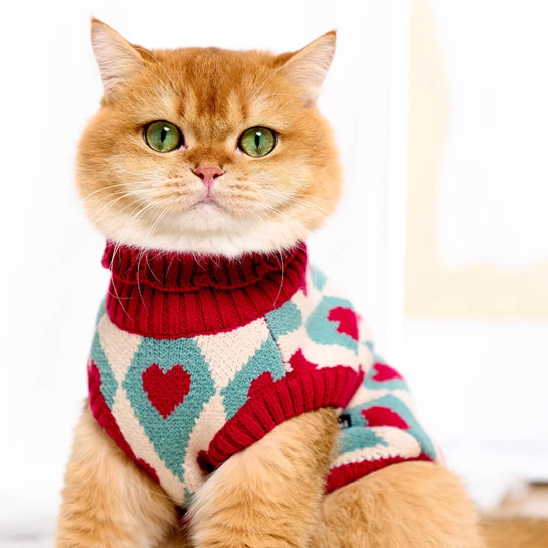 Cat in Red Heart Pattern Sweater | MissyMoMo