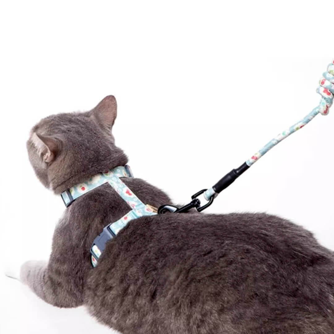 Cat on a Light Blue H-Style Cat Harness | MissyMoMo