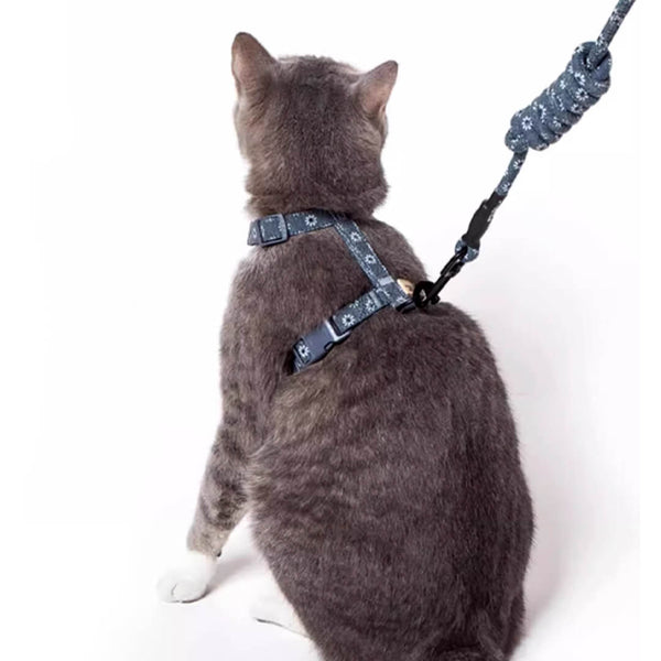 Cat on a Navy Blue H-Style Cat Harness | MissyMoMo