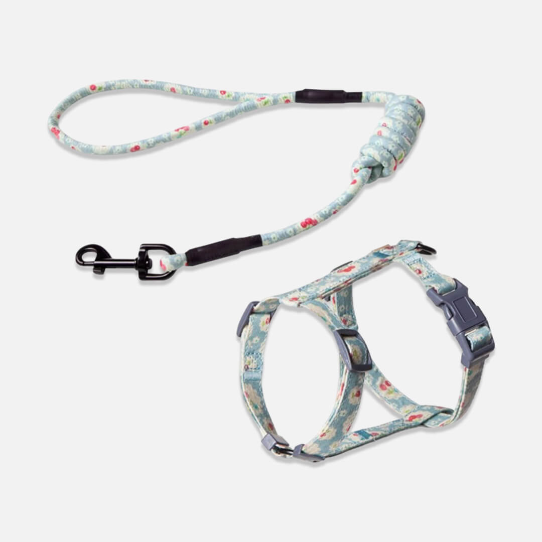 Daisy Light Blue Cat Harness & Leash Set for Walking | H-Style Cat Harness for Walking | MissyMoMo