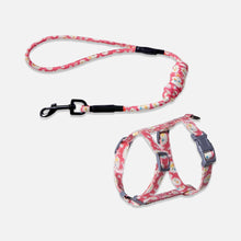 Load image into Gallery viewer, Daisy Red Cat Harness & Leash Set for Walking | H-Style Cat Harness for Walking | MissyMoMo