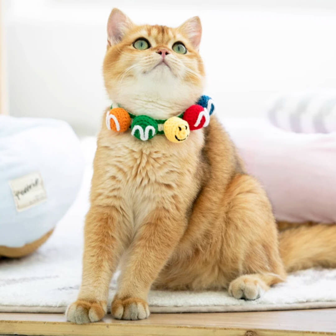 Cat in Handmade Colorful Balls Cat Collar | MissyMoMo