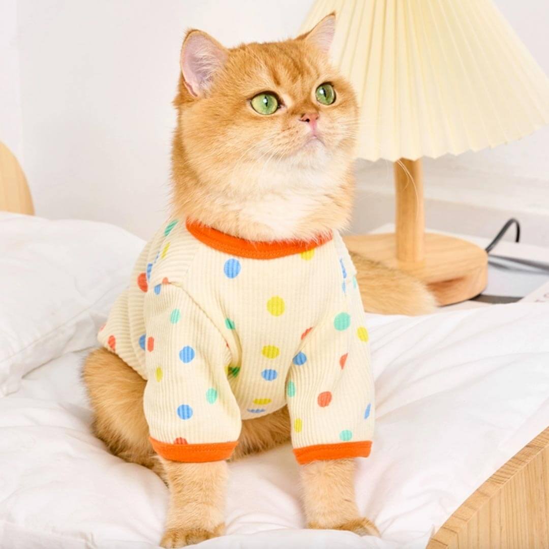 Cat in Cute Yellow Polka Dot T-Shirt | MissyMoMo