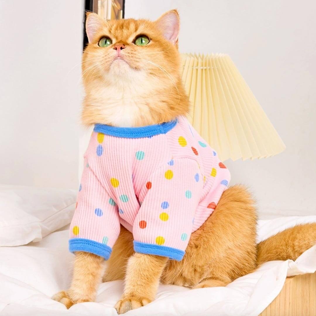 Cat in Cute Pink Polka Dot T-Shirt | MissyMoMo