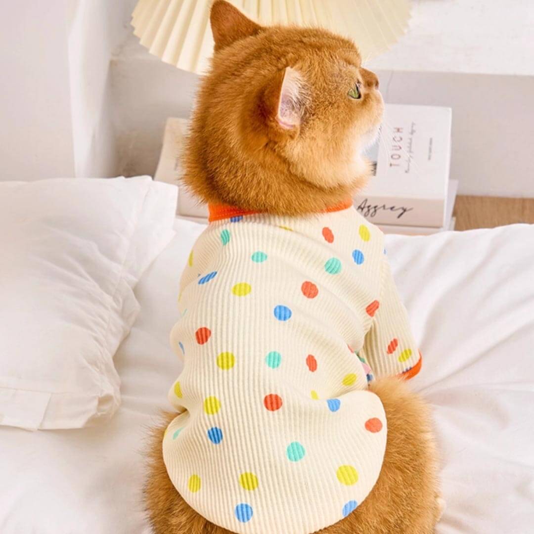 Cat in Cute Yellow Polka Dot T-Shirt | MissyMoMo
