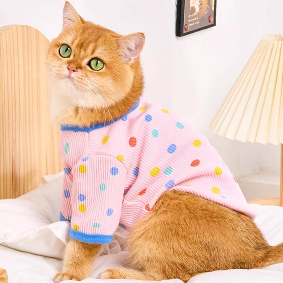 Cat in Cute Pink Polka Dot T-Shirt | MissyMoMo