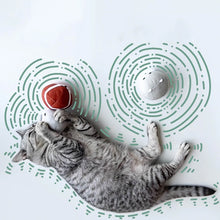 Load image into Gallery viewer, Cat Playing with Cat Ball Toys | MissyMoMo