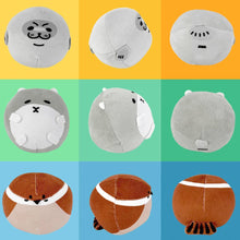 Load image into Gallery viewer, Earth, Sea & Sky Trio Cat Ball Toys | MissyMoMo