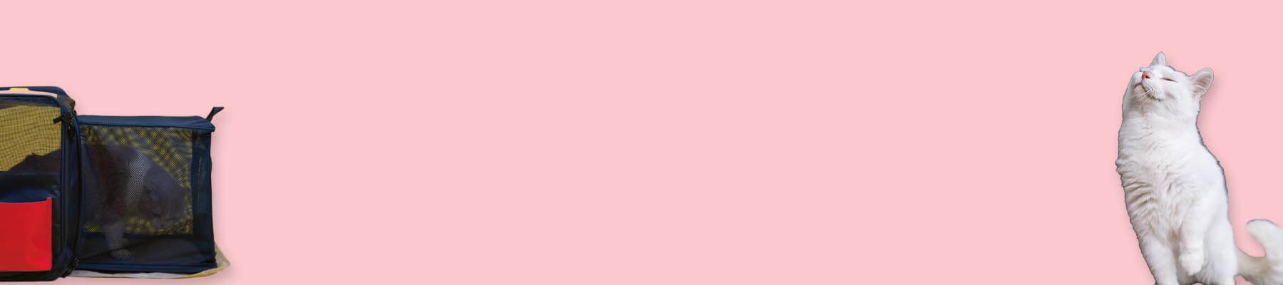 MissyMoMo Expandable Cat Backpack Collection