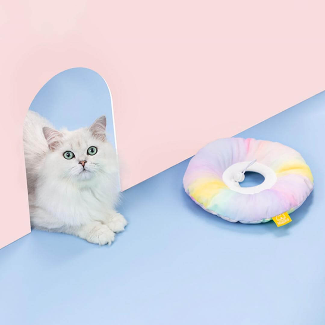 Fairy Elizabethan Collar | Cute E Collar for Pets | MissyMoMo