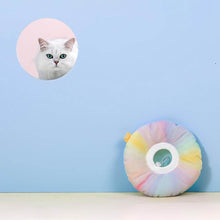 Load image into Gallery viewer, Fairy Elizabethan Collar | Cute E Collar for Pets | MissyMoMo
