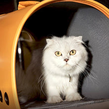 Load image into Gallery viewer, Cat Inside Fancy Poupée Cat Carrier | MissyMoMo