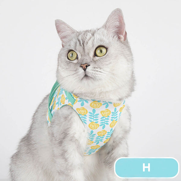 Fleur Cat Harness with Leash | Best Cat Harness and Leash | MissyMoMo