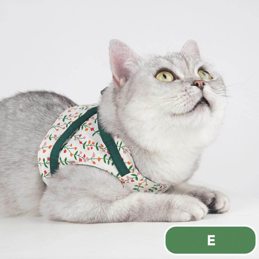 Cat Looking Up with Fleur Cat Harness in Floral Design | MissyMoMo