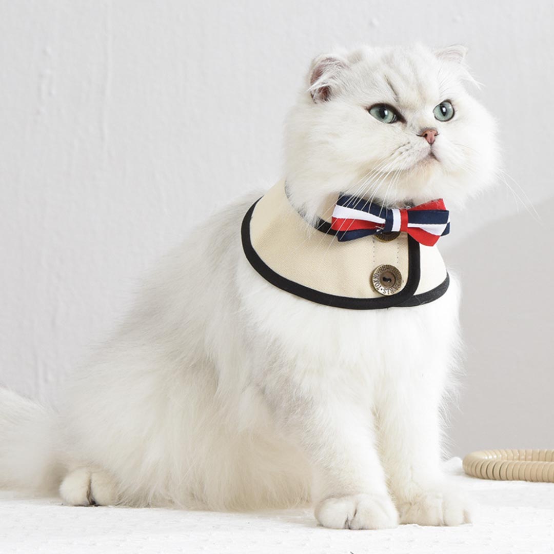 Gentlemeow Cat Bib | Cat with Collar | MissyMoMo